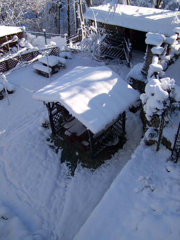 Beatka Otel Świeradów-Zdrój Dış mekan fotoğraf
